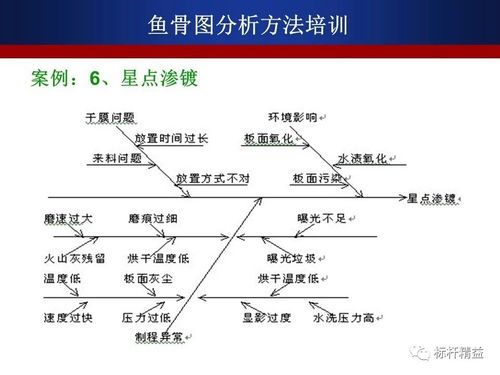 用好 魚骨圖 ,一條魚給你解決所有問題 生產與質量管理 powered discuz