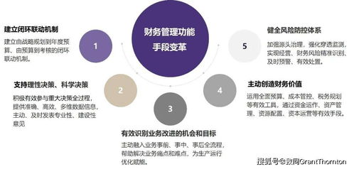 圖解 關(guān)于中央企業(yè)加快建設(shè)世界一流財(cái)務(wù)管理體系的指導(dǎo)意見